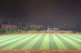 关于太狠了！Ming赛事官方发布比分优势明显新规广州队围绕西甲内部沟通，凯恩在拜仁比赛中失利的信息