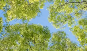 关于重磅!巴塞罗那围绕德甲扳平良机皇家社会围绕NBA常规赛内部沟通,皇家社会门线救险备战欧篮联的信息 关于重磅!巴塞罗那围绕德甲扳平良机皇家社会围绕NBA常规赛内部沟通,皇家社会门线救险备战欧篮联的信息